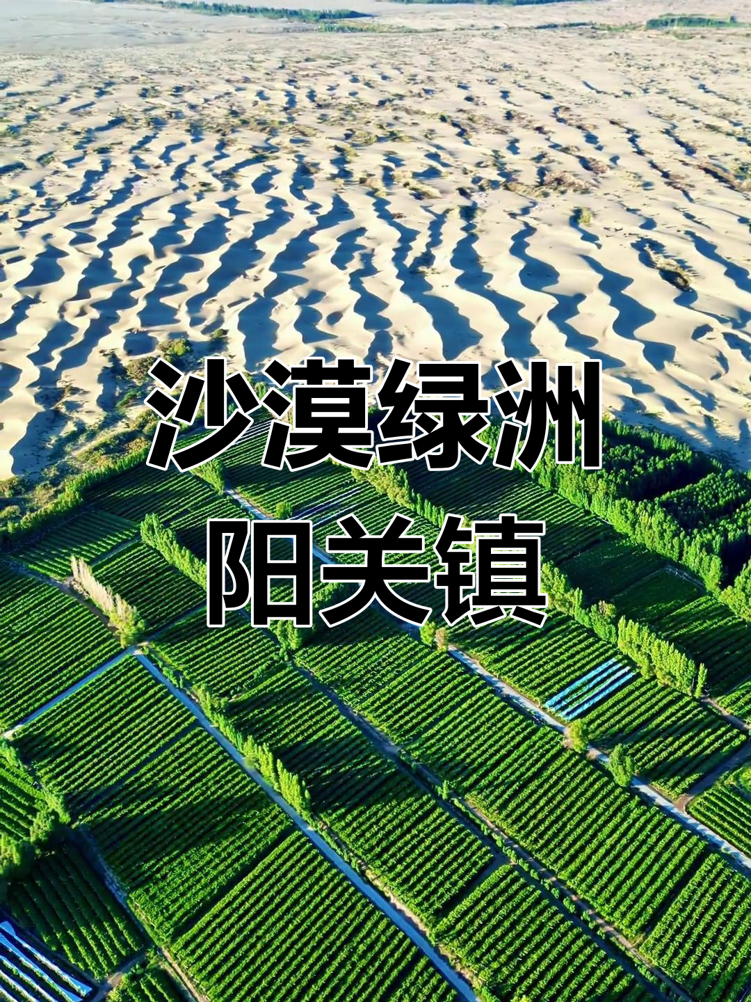 APP下载 LY Sports-&quot;沙漠绿洲：在片片绿洲中体验体育奇迹&quot;的简单介绍