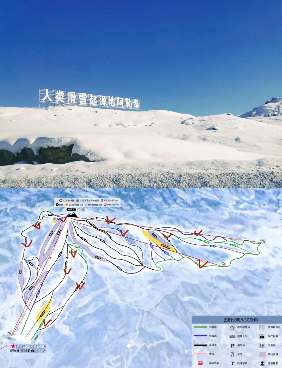 关于高山滑雪赛：雪地飞驰的速度与激情的信息