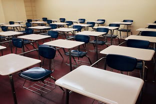 乐鱼电竞在线平台-校园体育活动对学生心理弹性的促进，学校体育对青少年心理方面的影响