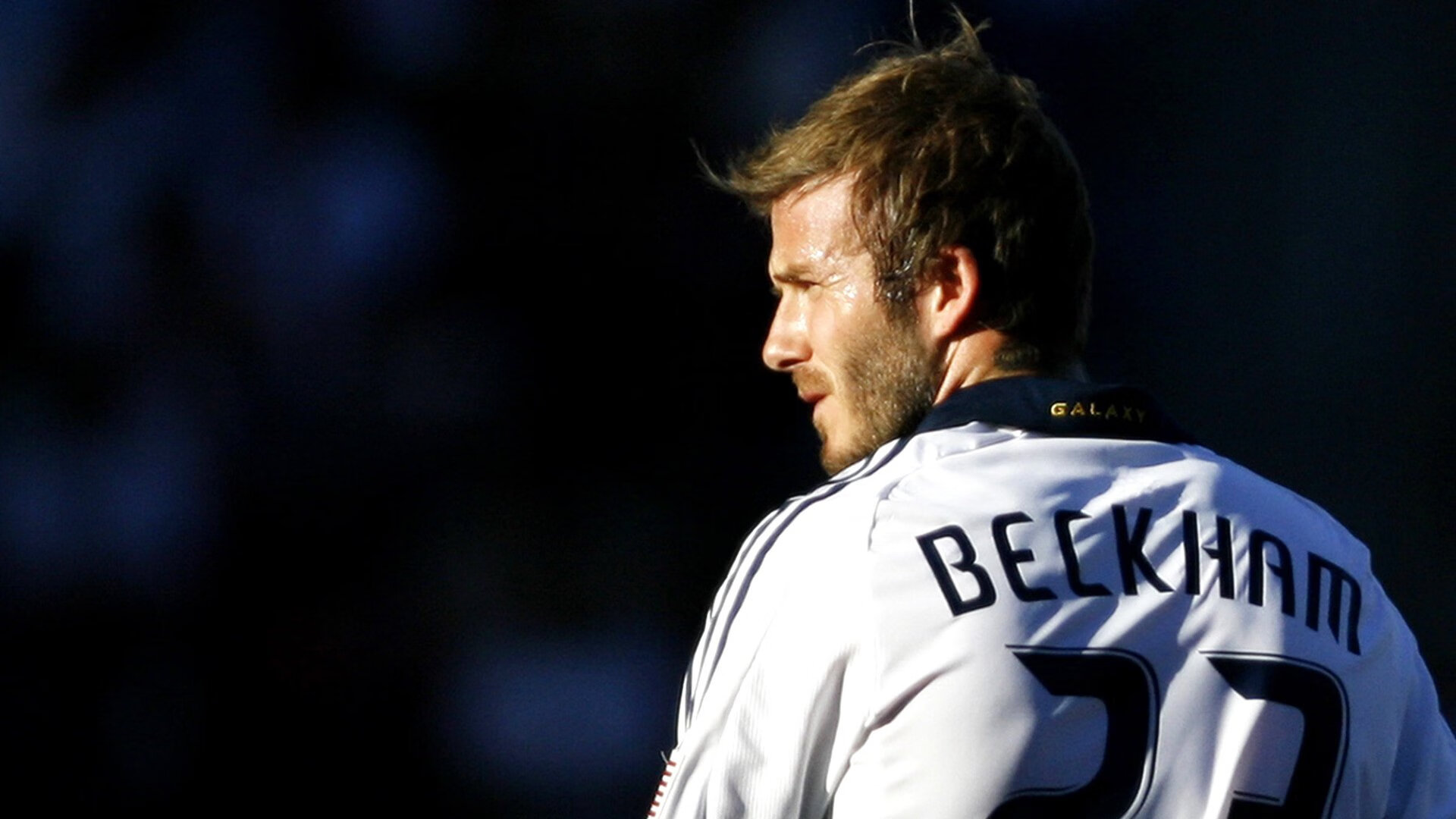 乐鱼官网-_场外花絮：明星嘉宾到场助威，现场气氛热烈_，明星场外应援是什意思